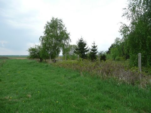 Foto 54
